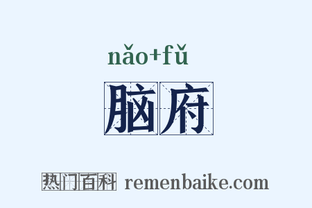 脑府是什么意思的图片